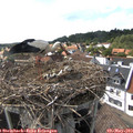 16_30-nest.jpg