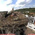 16_35-nest.jpg