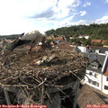 16_55-nest.jpg