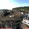 17_45-nest.jpg