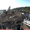18_30-nest.jpg