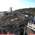 18_35-nest.jpg