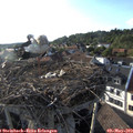 18_40-nest.jpg