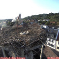 18_50-nest.jpg