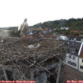 19_20-nest.jpg