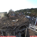19_25-nest.jpg