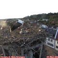 19_35-nest.jpg