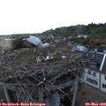 19_40-nest.jpg