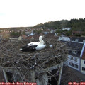 20_15-nest.jpg