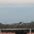 20_45-mast.jpg