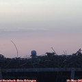 05_50-mast.jpg