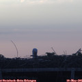 05_55-mast.jpg