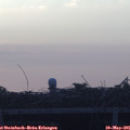 06_00-mast.jpg