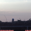 06_05-mast.jpg