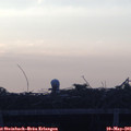 06_10-mast.jpg