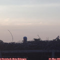 06_15-mast.jpg