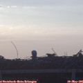 06_20-mast.jpg