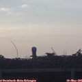 06_25-mast.jpg