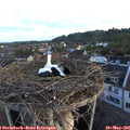 06_25-nest.jpg