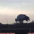 06_35-mast.jpg