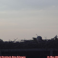 06_50-mast.jpg