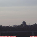 06_55-mast.jpg