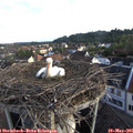 06_55-nest.jpg