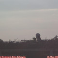 07_00-mast.jpg