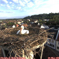 07_00-nest.jpg