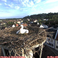 07_05-nest.jpg