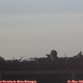 07_10-mast.jpg