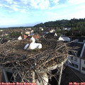 07_10-nest.jpg