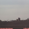 07_15-mast.jpg
