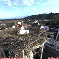 07_15-nest.jpg