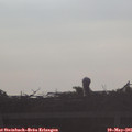 07_20-mast.jpg
