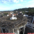 07_20-nest.jpg