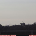 07_35-mast.jpg