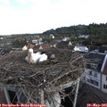 07_35-nest.jpg
