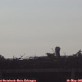07_40-mast.jpg
