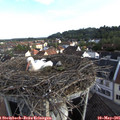 07_40-nest.jpg