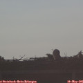 07_45-mast.jpg