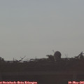 07_50-mast.jpg