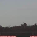 07_55-mast.jpg