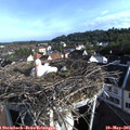 07_55-nest.jpg