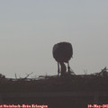 08_00-mast.jpg