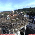 08_05-nest.jpg