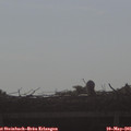 08_25-mast.jpg