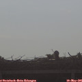 08_30-mast.jpg