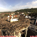 08_35-nest.jpg