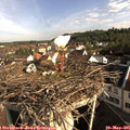 08_40-nest.jpg